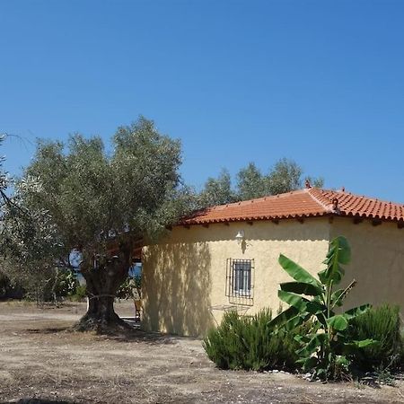 House By The Sea At Skaloma, Loutraki Villa Limni Vouliagmenis Eksteriør bilde