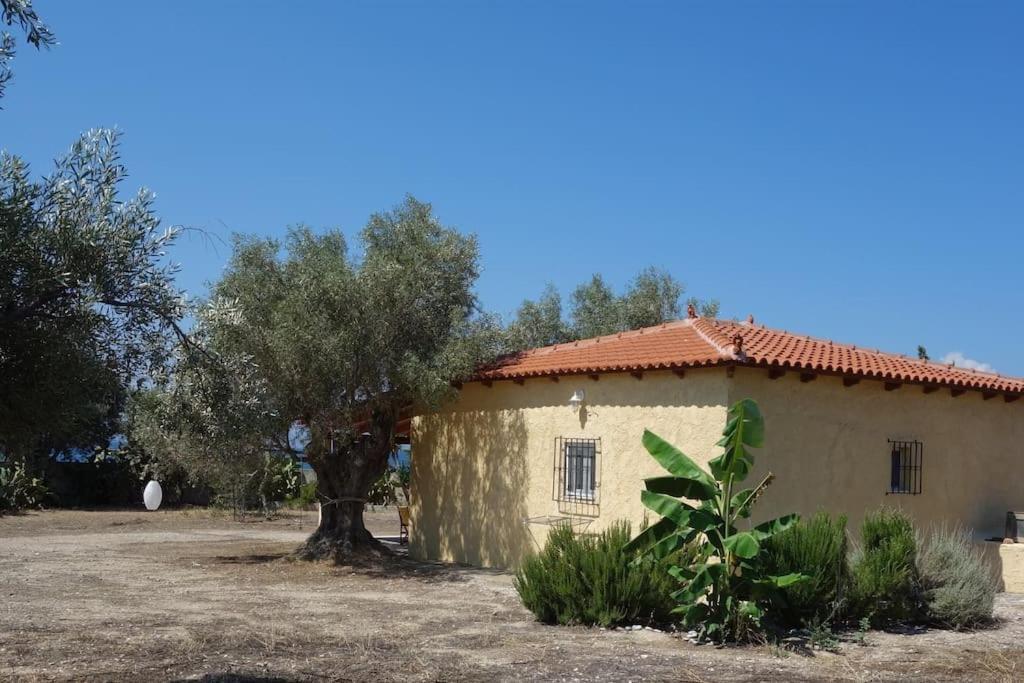 House By The Sea At Skaloma, Loutraki Villa Limni Vouliagmenis Eksteriør bilde